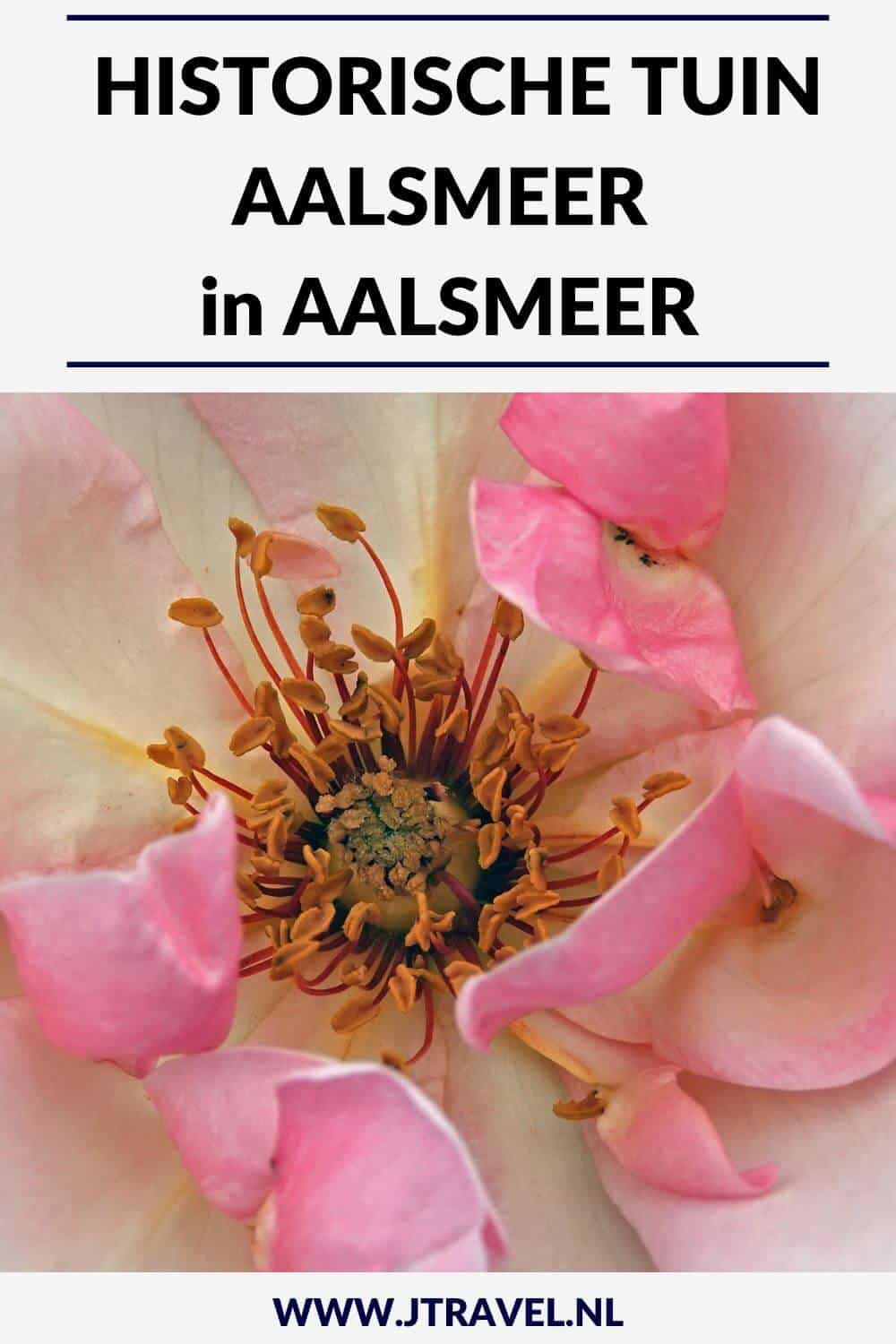 Ik bezocht de Historische Tuin Aalsmeer. Deze historische tuin is een botanische tuin en levend museum over de geschiedenis van het telen en kweken van bloemen, groenten en planten. Buiten groeien en bloeien mooie bloemen, bomen en planten. Gratis toegankelijk met je museumkaart. Meer lees je hier. #historischetuinaalsmeer #aalsmeer #museumkaart #jtravel #jtravelblog