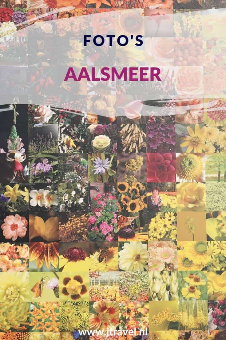 Ik heb een overzicht gemaakt met de fotoartikelen van Aalsmeer. Kijk je mee? #aalsmeer #fotos #musea #jtravel #jtravelblog
