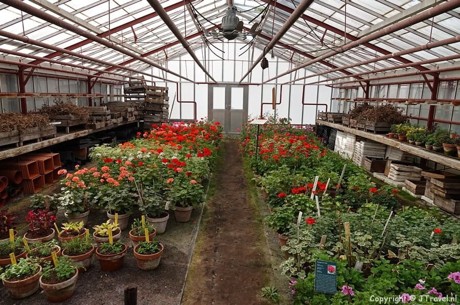 Een kas in de Historische Tuin Aalsmeer in Aalsmeer / Copyright JTravel.nl