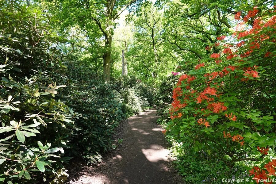 Het Sterrenbos tijdens mijn wandeling over Landgoed Clingendael in Den Haag