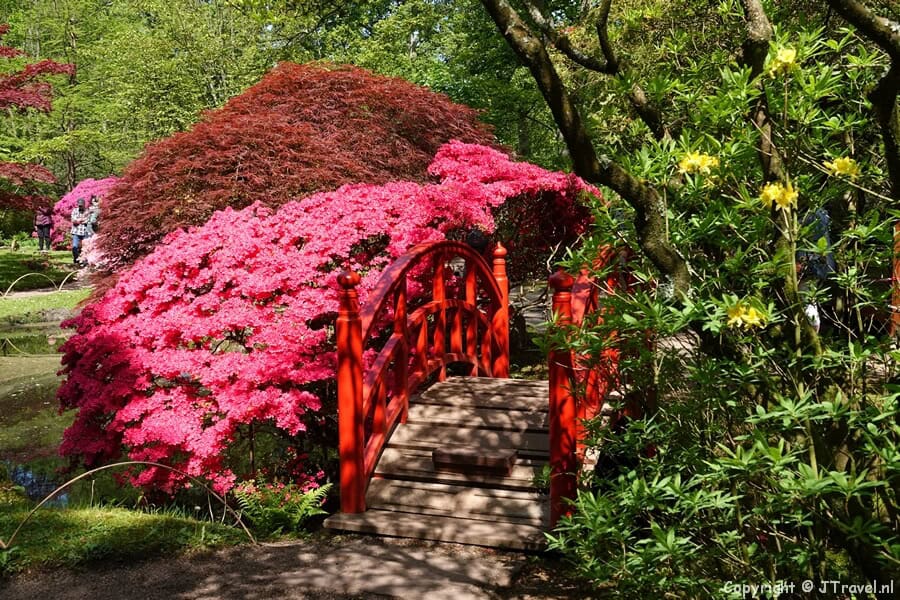 De Japanse Tuin op Landgoed Clingendael in Den Haag