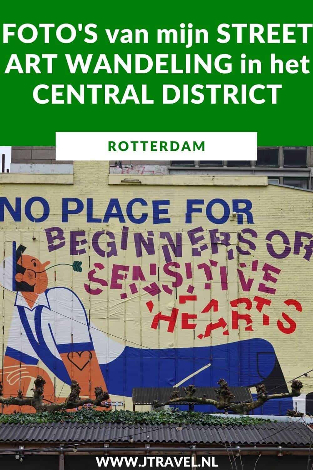 Ik maakte een wandeling langs de vele street art werken in het Central District van Rotterdam. In dit artikel zie je de foto's die ik tijdens mijn street art wandeling in het Central DIstrict van Rotterdam maakte. #streetart #streetartrotterdam #rotterdam #jtravel #jtravelblog #fotos