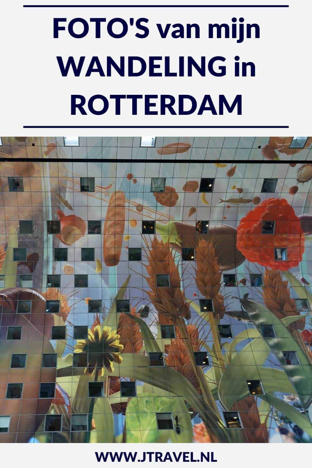 Ik maakte een 9 kilometer lange wandeling in het centrum Rotterdam langs talrijke hotspots zoals de luchtbrug, de kubuswoningen, de markthal en de Laurenskerk. Mijn foto's zie je hier. Kijk je mee? #wandelen #rotterdam #luchtsingel #kubuswoningen #markthal #jtravel #jtravelblog #fotos