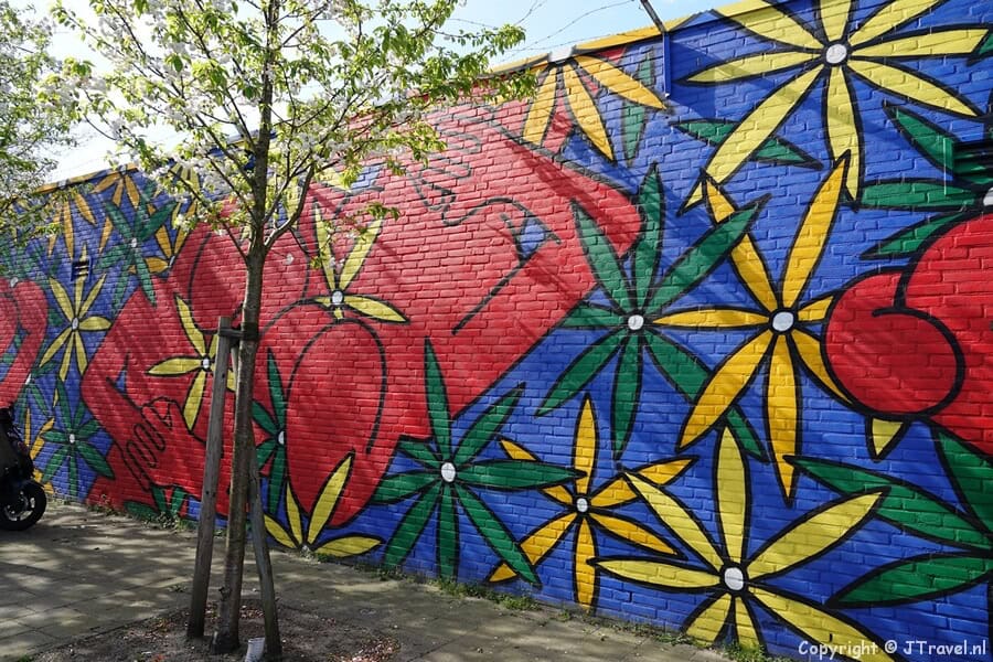 Street art van Franky Sticks tijdens mijn street art wandeling in de Rotterdamse wijk Feijenoord