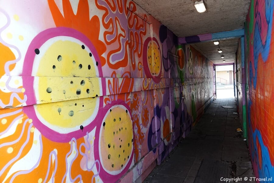 Street art van Jelmer Konjo tijdens mijn street art wandeling in de Rotterdamse wijk Feijenoord