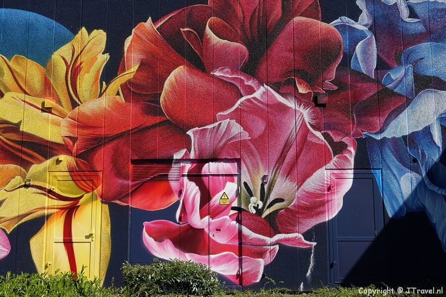 Street art van Sophie Mess tijdens mijn street art wandeling in de Rotterdamse wijk Feijenoord