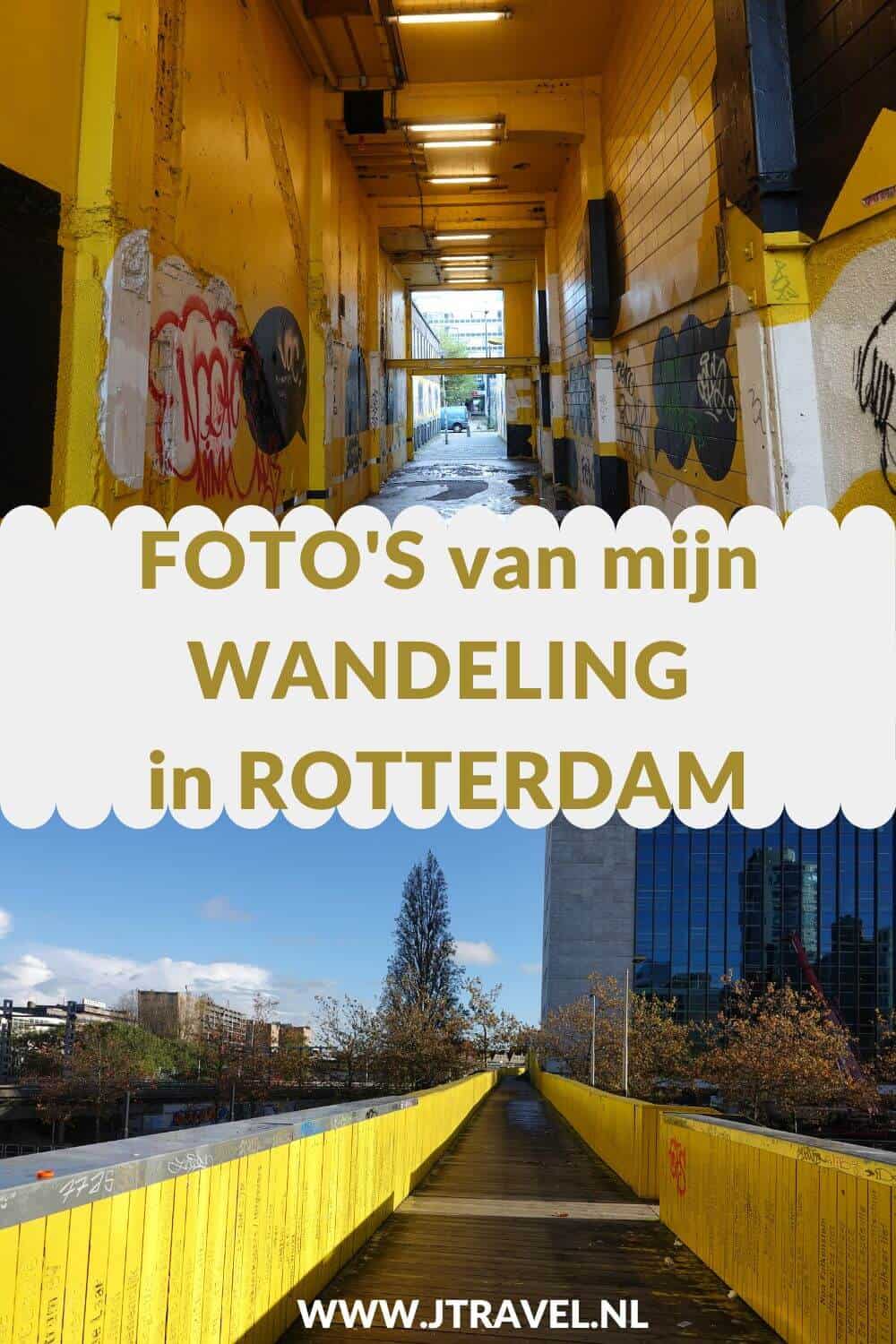 Ik maakte een 9 kilometer lange wandeling in het centrum Rotterdam langs talrijke hotspots zoals de luchtbrug, de kubuswoningen, de markthal en de Laurenskerk. Mijn foto's zie je hier. Kijk je mee? #wandelen #rotterdam #luchtsingel #kubuswoningen #markthal #jtravel #jtravelblog #fotos