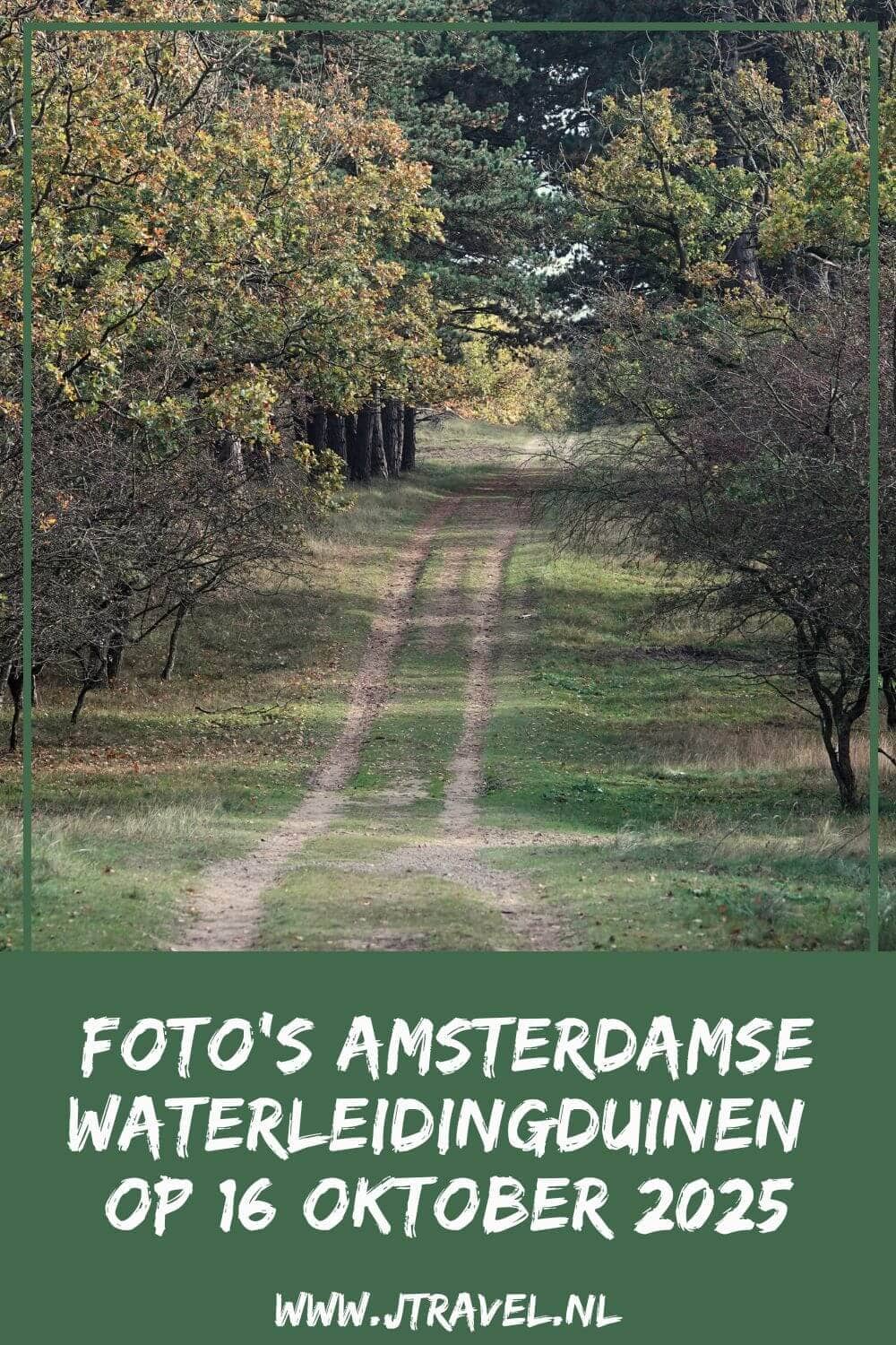 Ik maakte een wandeling in de Amsterdamse Waterleidingduinen. Dit keer zag ik veel damherten en veel paddenstoelen. Mijn foto’s zie je hier. Kijk je mee? #awd #damhert #paddenstoelen #wandelen #hiken #jtravel #jtravelblog #fotos