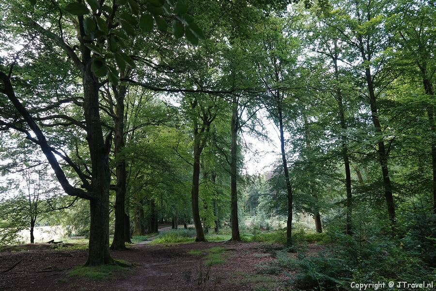 Bikbergen tijdens mijn wandeling over de Blaricummerheide en de Tafelbergheide
