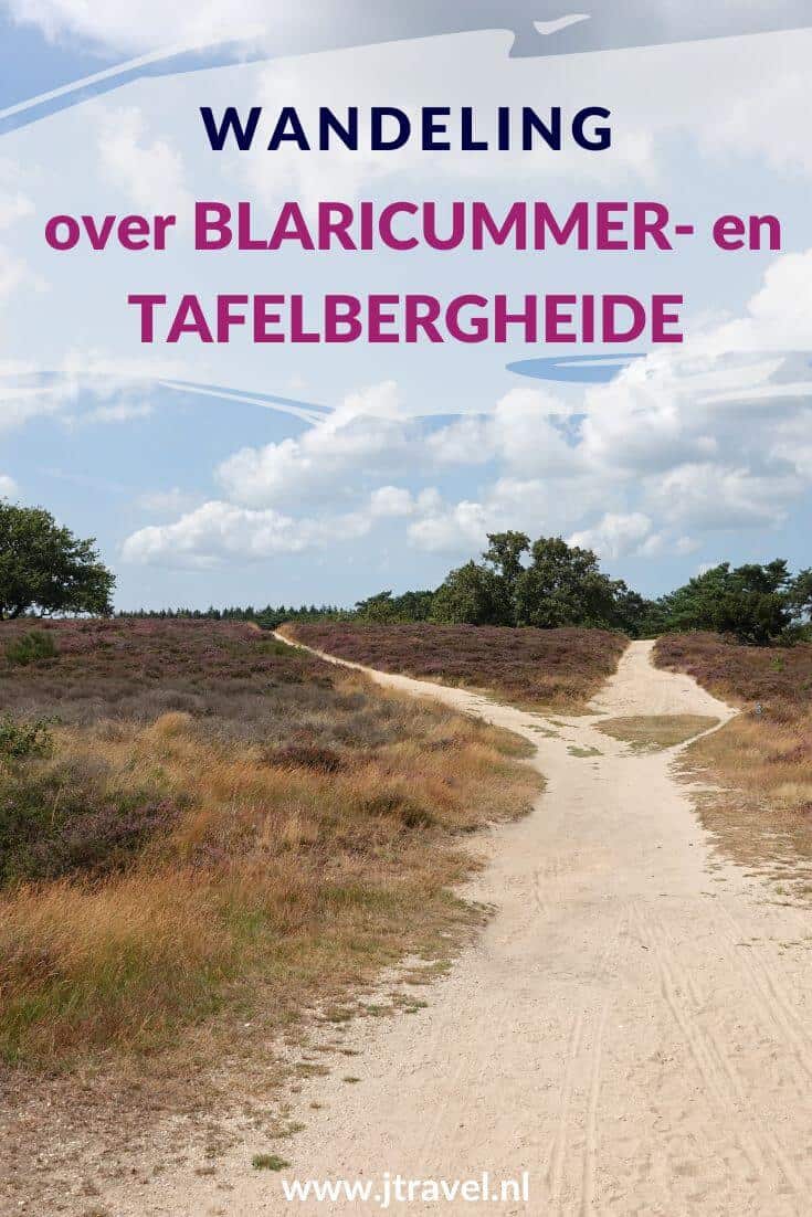 Ik maakte een wandeling in het Gooi over de Blaricumerheide en de Tafelbergheide. Een wandeling over de heidevelden die op dat moment in bloei staan en door de bossen. Wandel je mee met over de heide. #blaricum #blaricumerheide #tafelbergheide #jtravel #jtravelblog