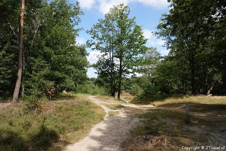 De Blaricummerheide tijdens mijn wandeling over de Blaricummerheide en de Tafelbergheide
