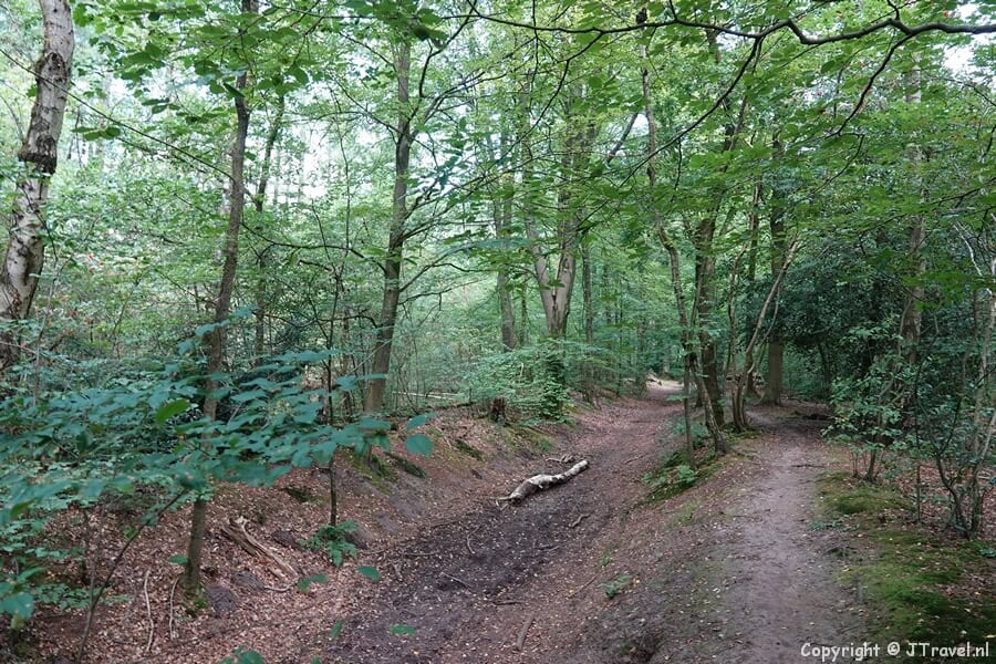 Crailo tijdens mijn wandeling over de Blaricummerheide en de Tafelbergheide