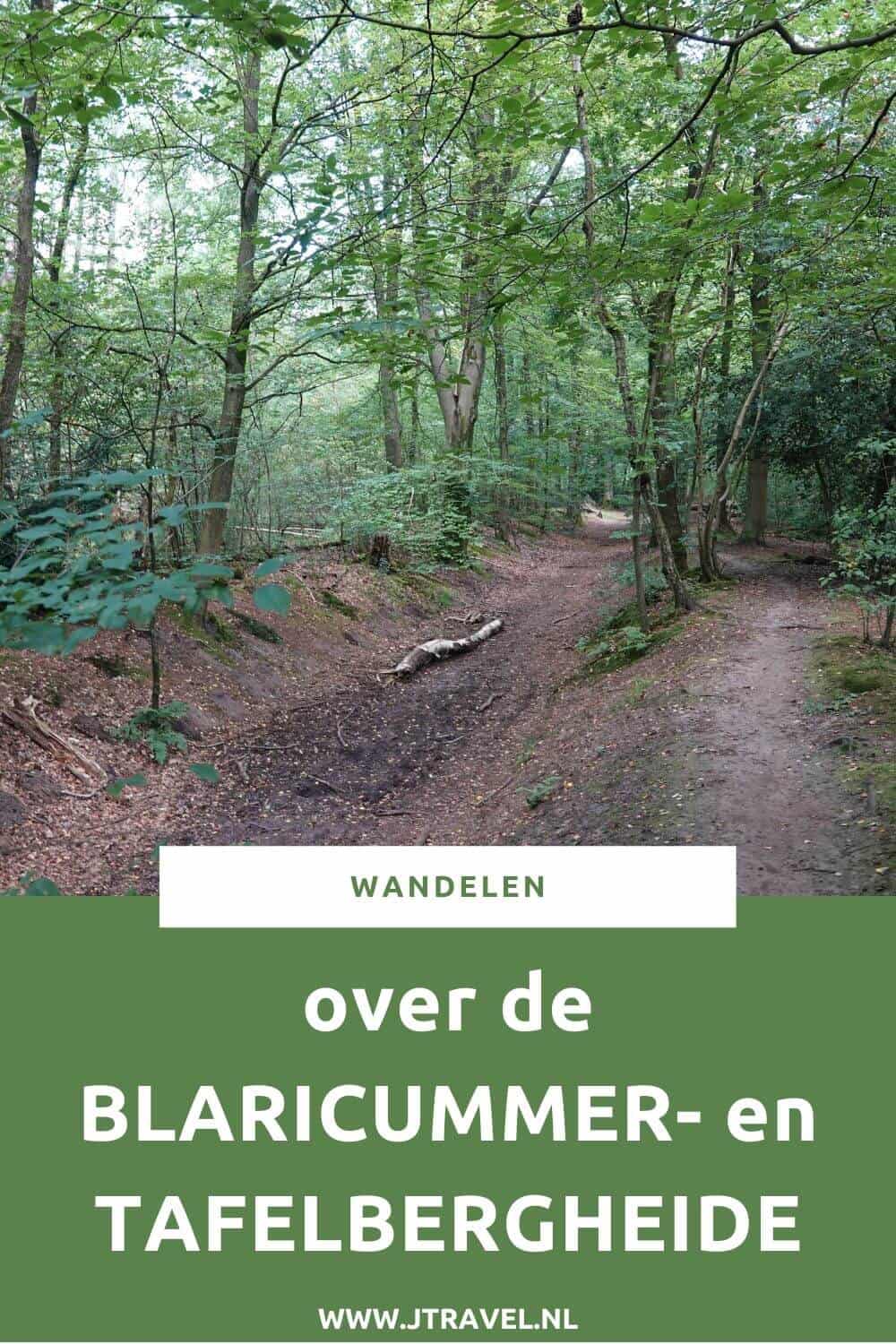 Ik maakte een wandeling in het Gooi over de Blaricumerheide en de Tafelbergheide. Een wandeling over de heidevelden die op dat moment in bloei staan en door de bossen. Wandel je mee met over de heide. #blaricum #blaricumerheide #tafelbergheide #jtravel #jtravelblog