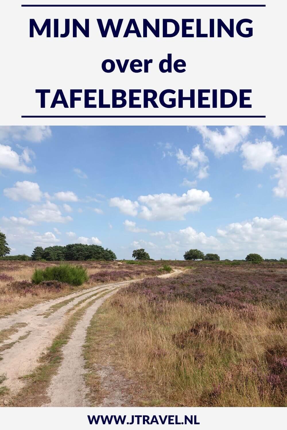 Ik maakte een wandeling in het Gooi over de Blaricumerheide en de Tafelbergheide. Een wandeling over de heidevelden die op dat moment in bloei staan en door de bossen. Wandel je mee met over de heide. #blaricum #blaricumerheide #tafelbergheide #jtravel #jtravelblog
