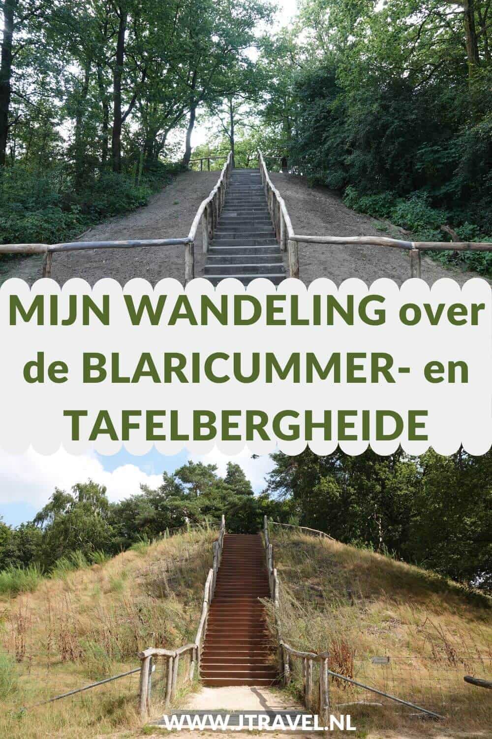 Ik maakte een wandeling in het Gooi over de Blaricumerheide en de Tafelbergheide. Een wandeling over de heidevelden die op dat moment in bloei staan en door de bossen. Wandel je mee met over de heide. #blaricum #blaricumerheide #tafelbergheide #jtravel #jtravelblog
