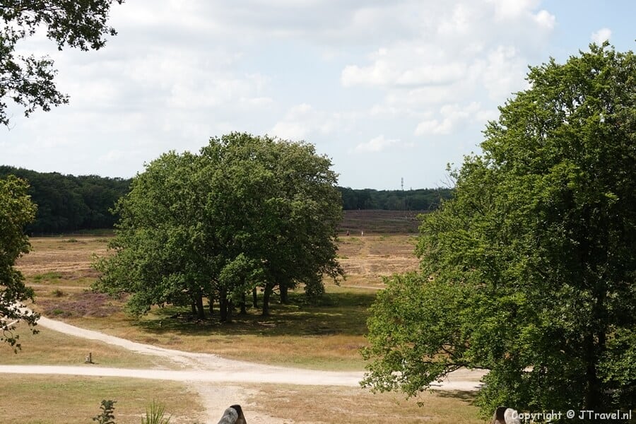 De Tafelbergheide tijdens mijn wandeling over de Blaricummerheide en de Tafelbergheide
