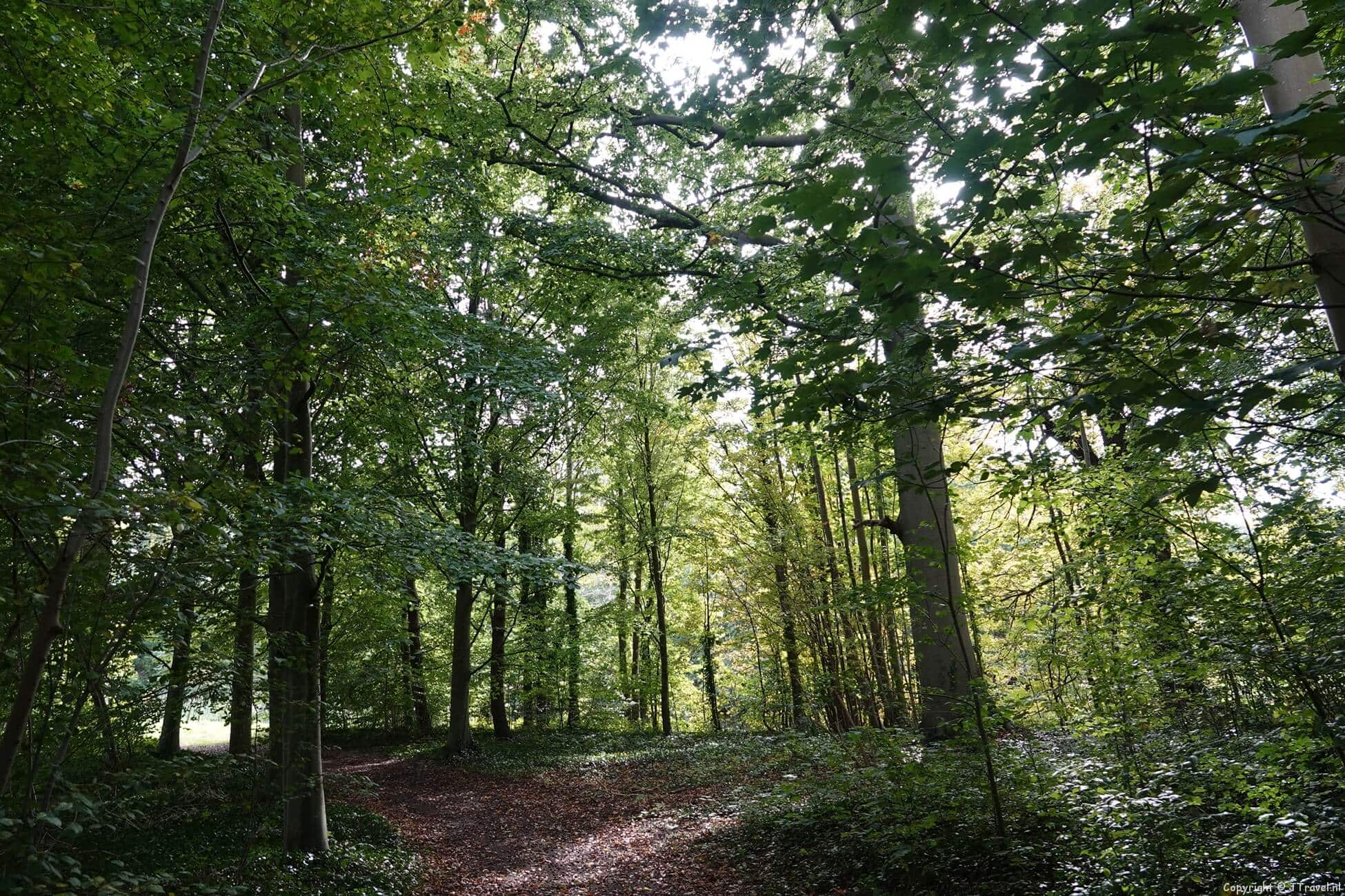 Mijn wandeling door Bennebroek