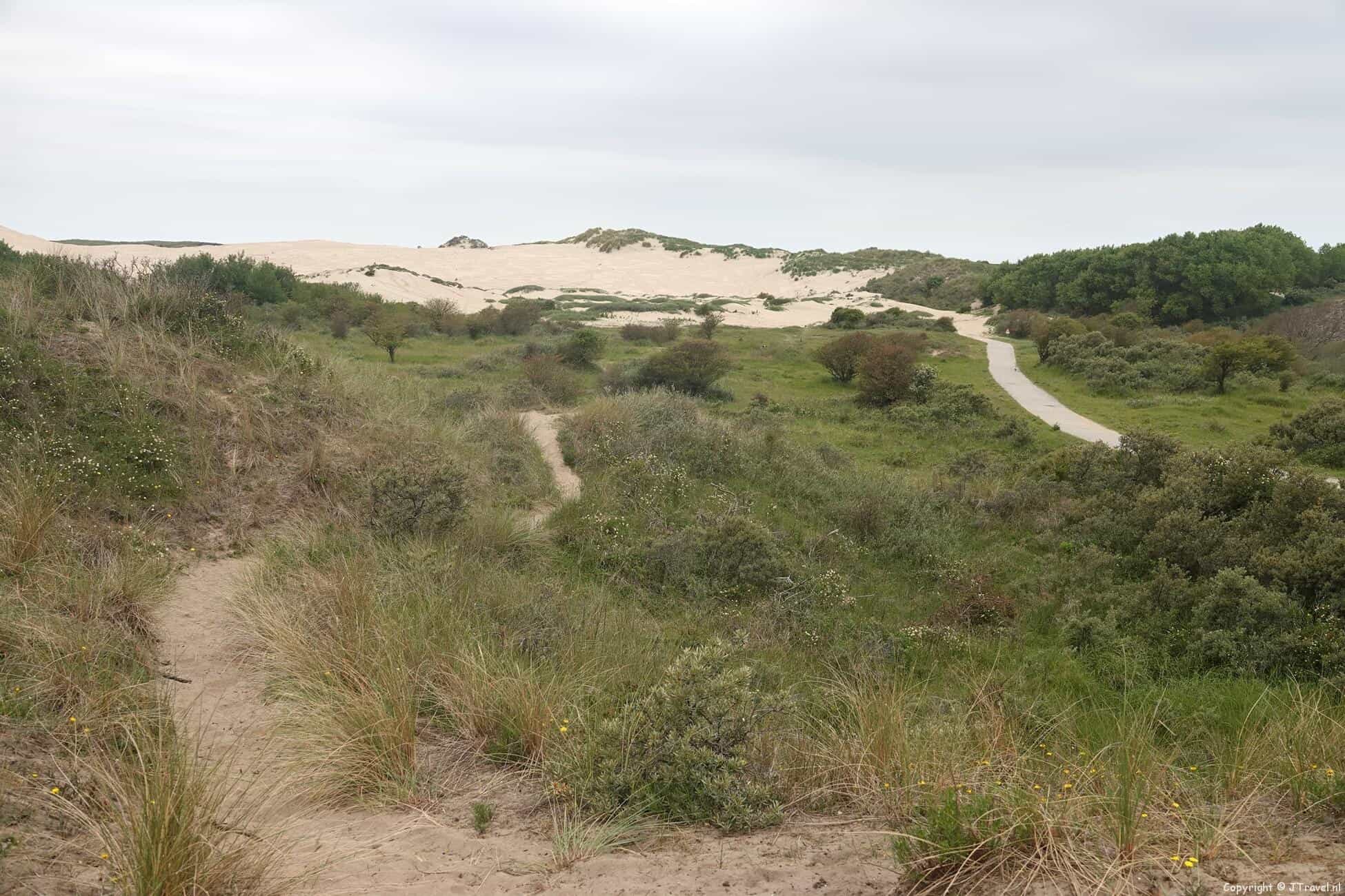Mijn wandeling in de Kennemerduinen