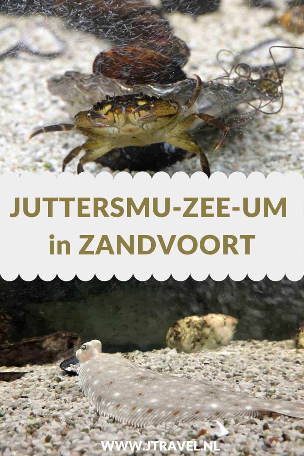 In het Juttersmu-ZEE-um zie je boeien, stukken scheepstouw, plastic werkhandschoenen, onderdelen van vliegtuigwrakken en een stuk bot van een zwaardvis. Meer lees je in dit artikel. #juttersmuzeeum #juttersmuseum #zandvoort #museum #jtravel #jtravelblog