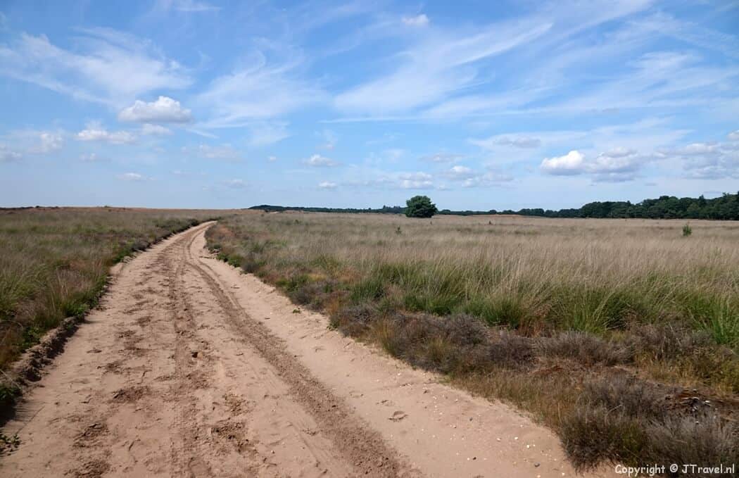 De Ginkelse Heide in Ede tijdens de 8e etappe van het Pad van de Vrijheid tussen Oosterbeek en Ede