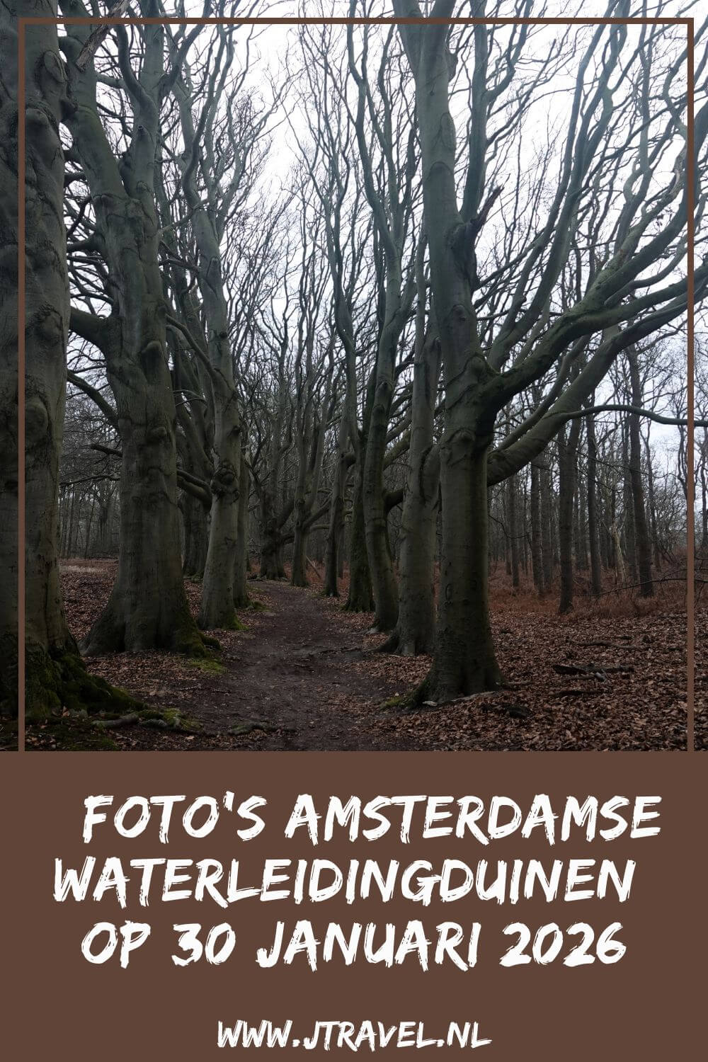 Ik liep de Trage Tocht Amsterdamse Waterleidingduinen. Vanaf ingang Zandvoortselaan loop ik via Oranjekom/Oase en Panneland via het Eiland van Rolvers weer naar de Zandvoortselaan. Onderweg beklim ik de Rozenberg en de Appelenberg en zie ik bunkers en damherten. In dit artikel neem ik je mee naar de Amsterdamse Waterleidingduinen. #amsterdamsewaterleidingduinen #trage tocht #wandelen #jtravelblog #jtravel