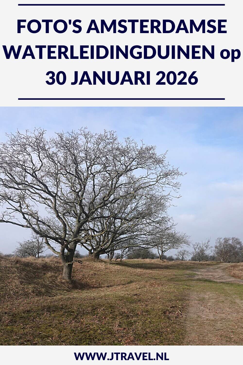 Ik liep de Trage Tocht Amsterdamse Waterleidingduinen. Vanaf ingang Zandvoortselaan loop ik via Oranjekom/Oase en Panneland via het Eiland van Rolvers weer naar de Zandvoortselaan. Onderweg beklim ik de Rozenberg en de Appelenberg en zie ik bunkers en damherten. In dit artikel neem ik je mee naar de Amsterdamse Waterleidingduinen. #amsterdamsewaterleidingduinen #trage tocht #wandelen #jtravelblog #jtravel