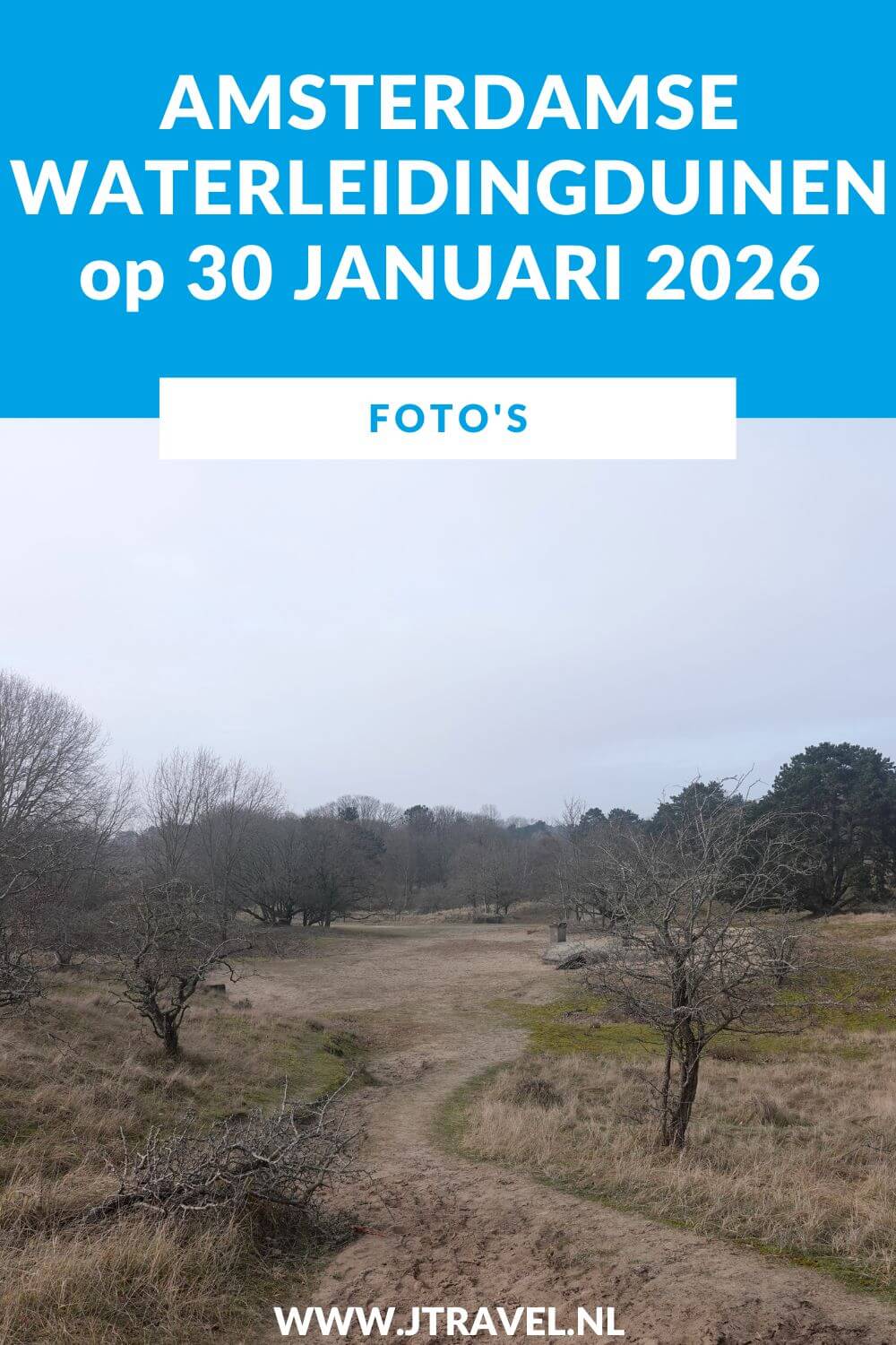 Ik liep de Trage Tocht Amsterdamse Waterleidingduinen. Vanaf ingang Zandvoortselaan loop ik via Oranjekom/Oase en Panneland via het Eiland van Rolvers weer naar de Zandvoortselaan. Onderweg beklim ik de Rozenberg en de Appelenberg en zie ik bunkers en damherten. In dit artikel neem ik je mee naar de Amsterdamse Waterleidingduinen. #amsterdamsewaterleidingduinen #trage tocht #wandelen #jtravelblog #jtravel