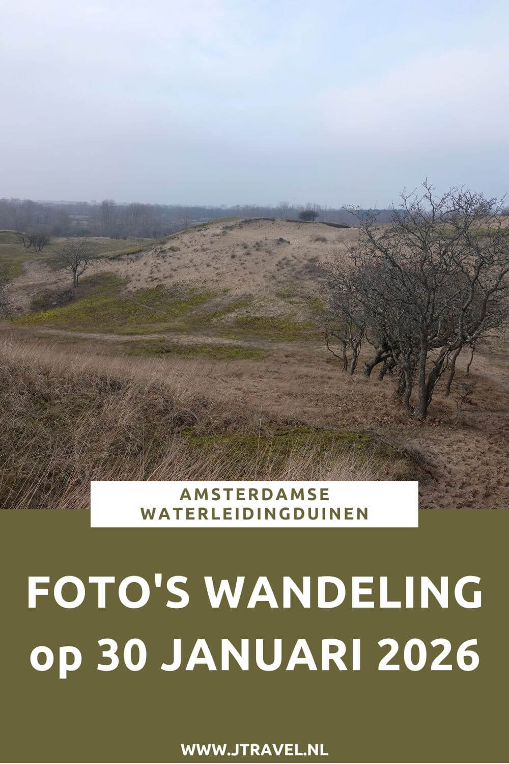 Ik liep de Trage Tocht Amsterdamse Waterleidingduinen. Vanaf ingang Zandvoortselaan loop ik via Oranjekom/Oase en Panneland via het Eiland van Rolvers weer naar de Zandvoortselaan. Onderweg beklim ik de Rozenberg en de Appelenberg en zie ik bunkers en damherten. In dit artikel neem ik je mee naar de Amsterdamse Waterleidingduinen. #amsterdamsewaterleidingduinen #trage tocht #wandelen #jtravelblog #jtravel