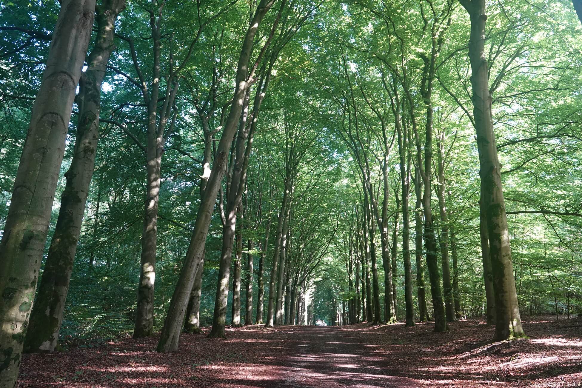 Foto's van de etappes 10 t/m 13 van het Pad van de Vrijheid : Lunteren - Wageningen