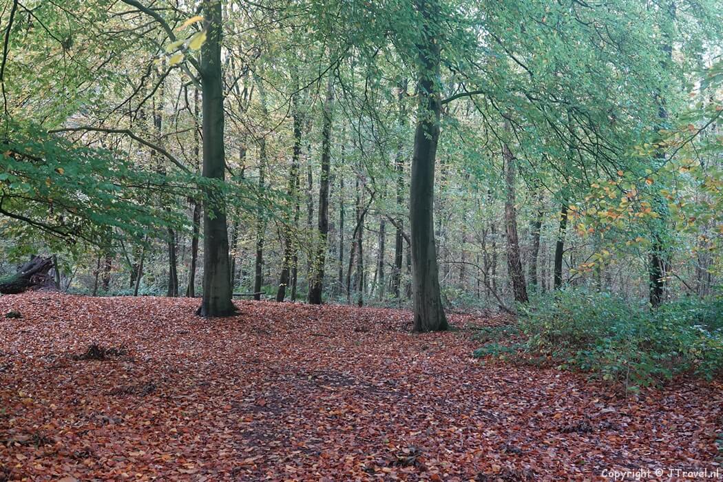 Het Klompenpad Grift en Graftenpad tijdens de 13e etappe van het Pad van de Vrijheid tussen Rhenen en Wageningen