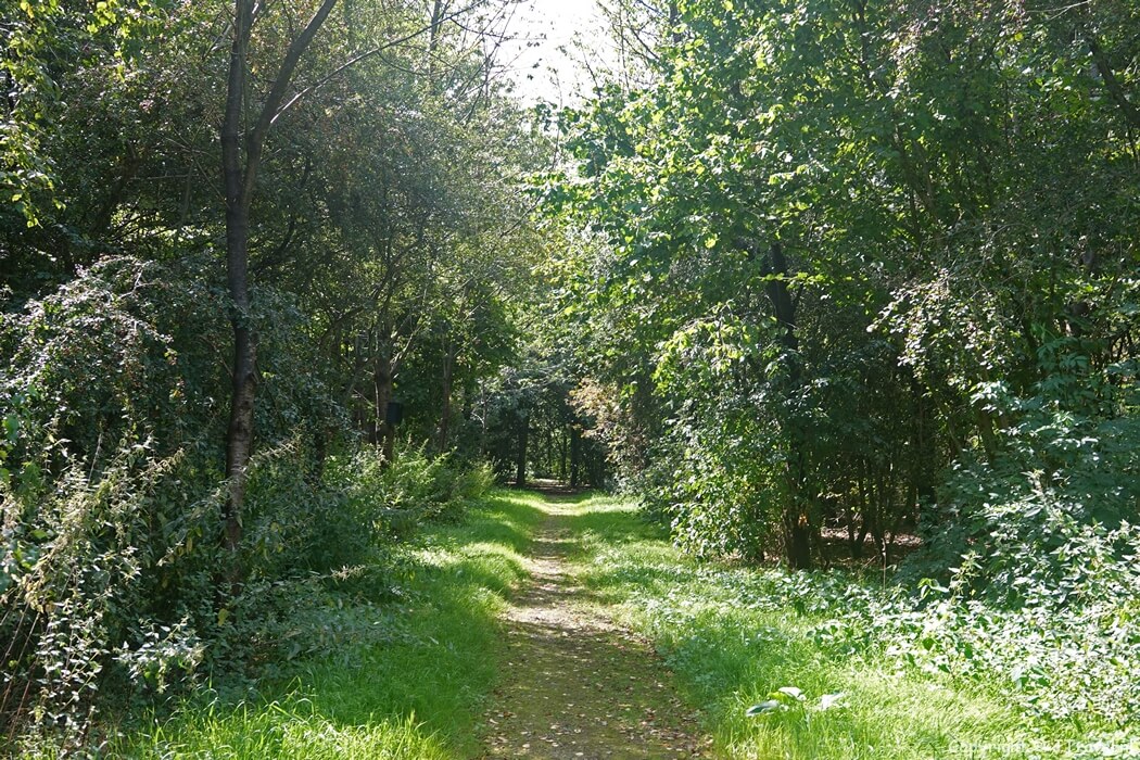 Landgoed Roodselaar tijdens de 10e etappe van het Pad van de Vrijheid tussen Lunteren en Veenendaal De Klomp