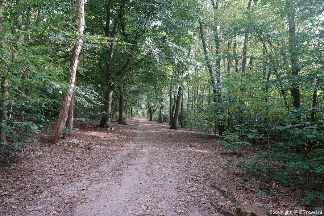 Naar Rhenen tijdens de 12e etappe van het Pad van de Vrijheid tussen Veenendaal Prattenburg en Rhenen