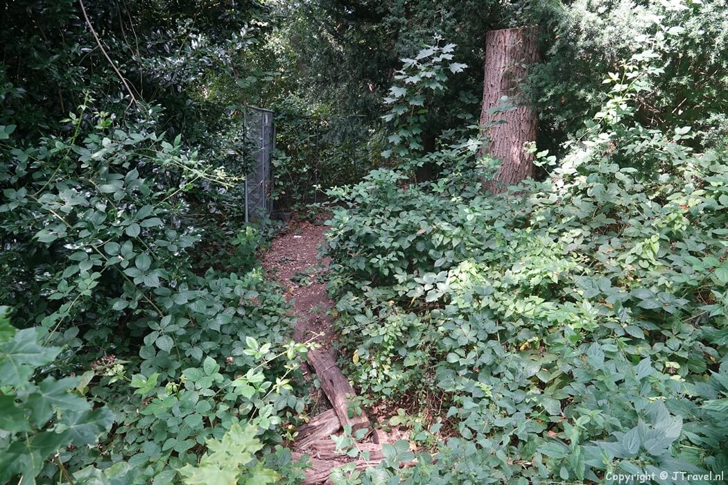 Wandelpad tijdens de 10e etappe van het Pad van de Vrijheid tussen Lunteren en Veenendaal De Klomp