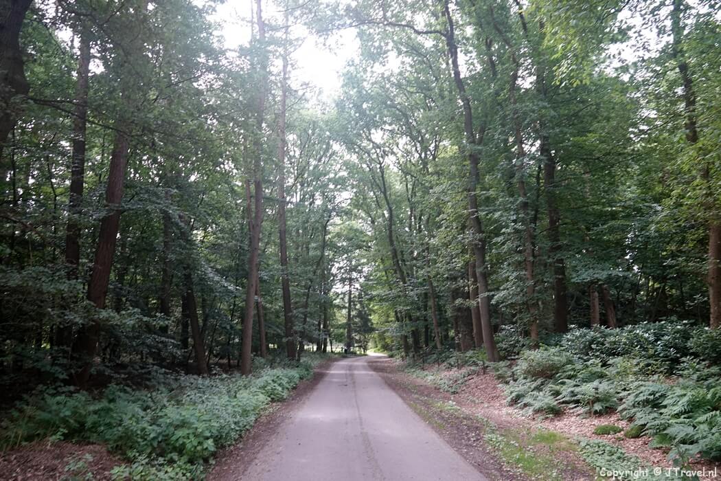 Vierhouten tijdens mijn wandeling rond Vierhouten