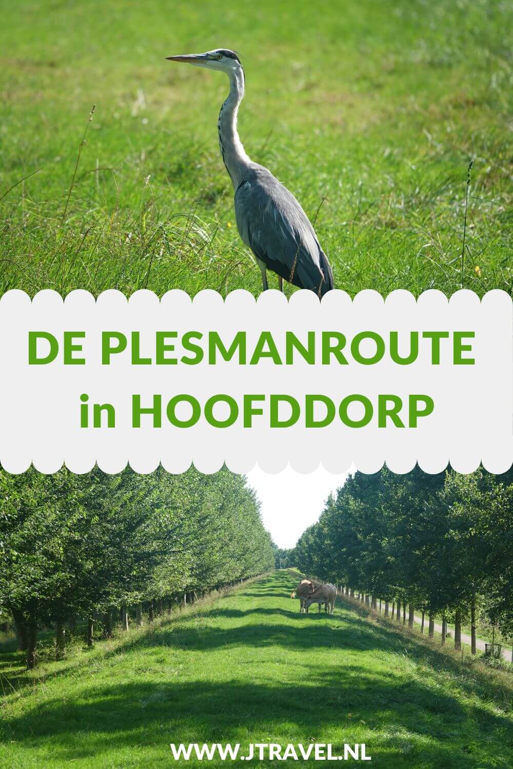 Ik liep de Plesmanroute in Hoofddorp, een wandelroute van Wandelnetwerk Noord-Holland met een lengte van 7,10 kilometer. Wandel je mee? #plesmanroute #haarlemmermeersebos #plesmanhoek #buitenschot #hoofddorp #wandelnetwerknoordholland #wandelen #jtravel #jtravelblog