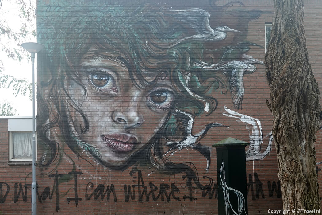 Street art van Herakut tijdens mijn street art wandeling in Rotterdam-Beverwaard