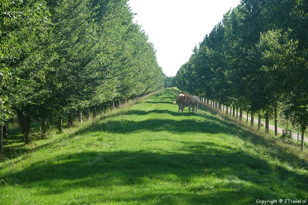 De Geniedijk tijdens de Plesmanwandelroute in Hoofddorp