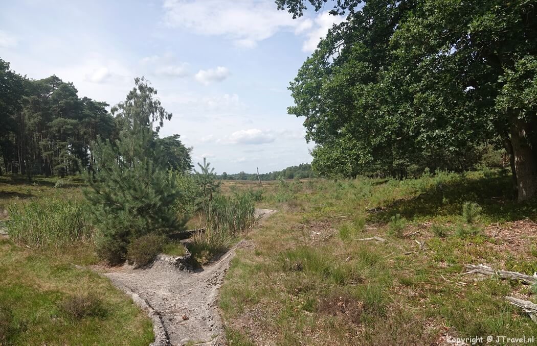 Een ven tijdens mijn wandeling rond Vierhouten