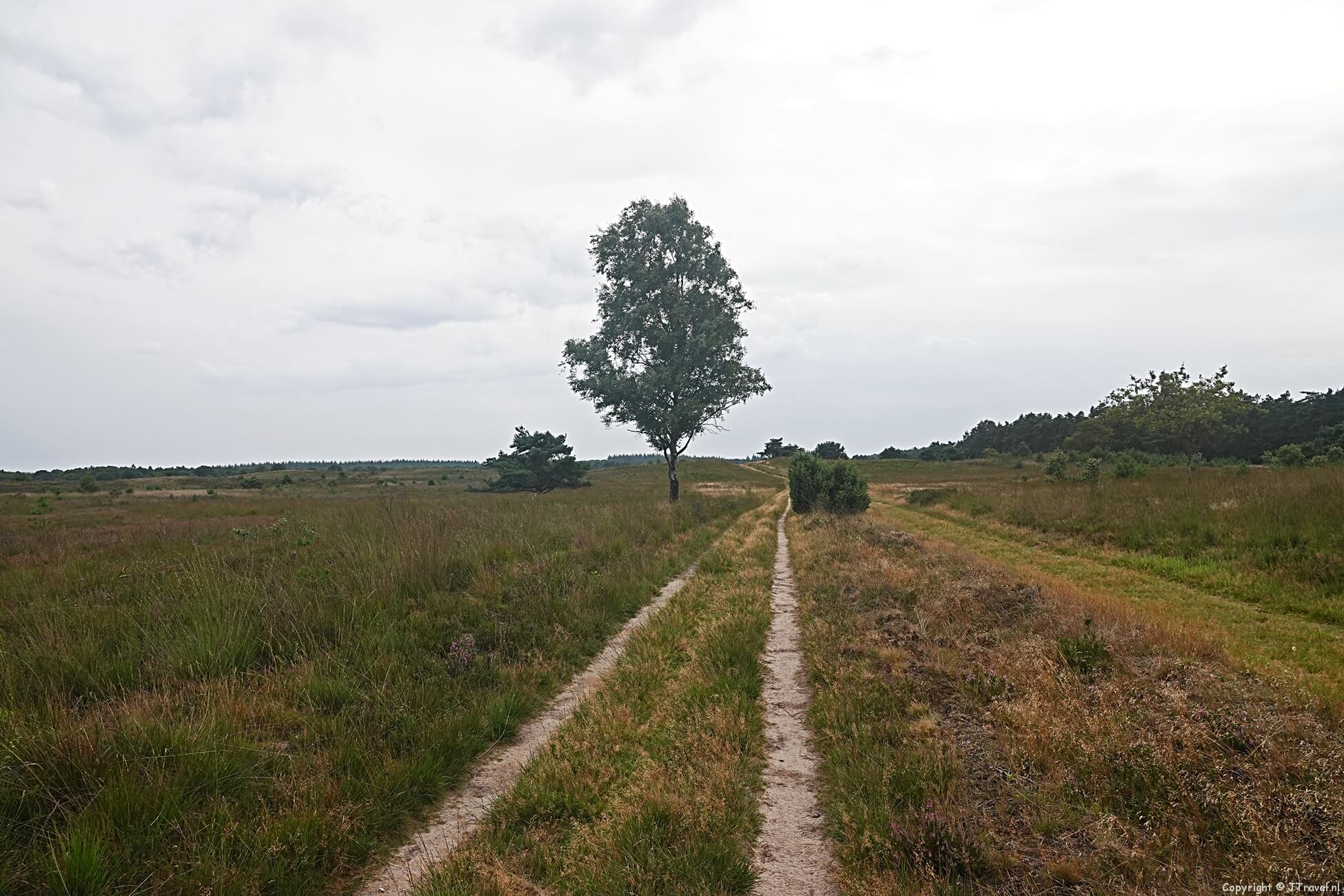 Mijn wandeling rond Vierhouten