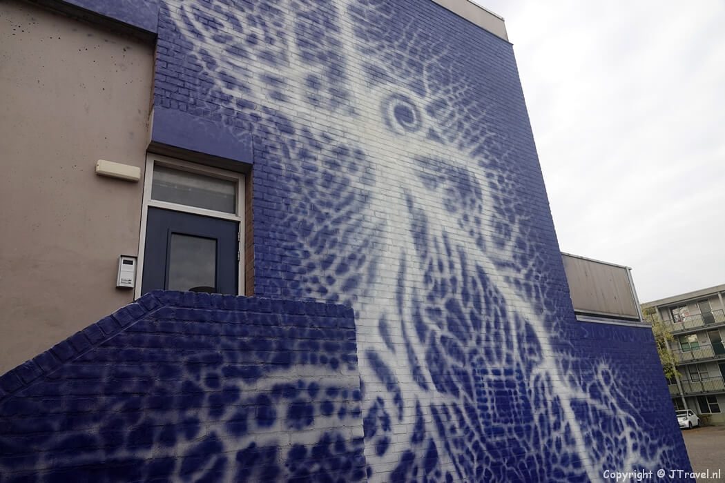 Street art van Mikołaj Stojanowicz tijdens mijn street art wandeling in de Rotterdamse wijk Beverwaard