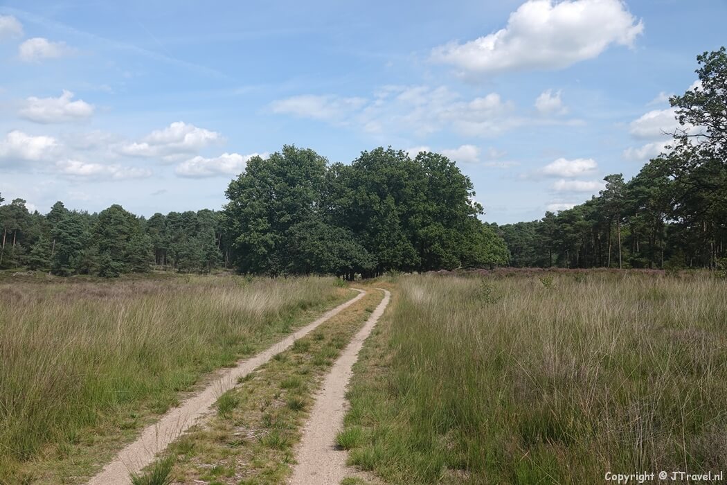 De Noorderheide tijdens mijn wandeling rond Vierhouten