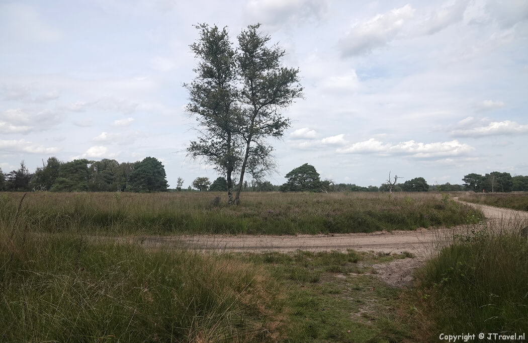 Een zandpad tijdens mijn wandeling rond Vierhouten