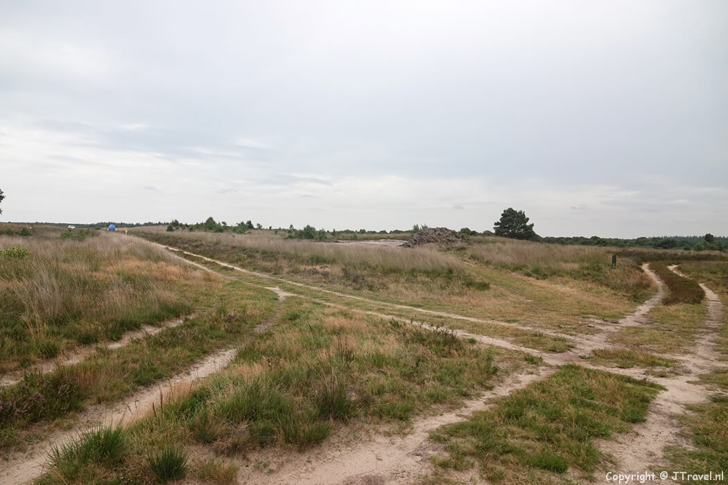 De Elspeetse heide tijdens mijn wandeling rond Vierhouten
