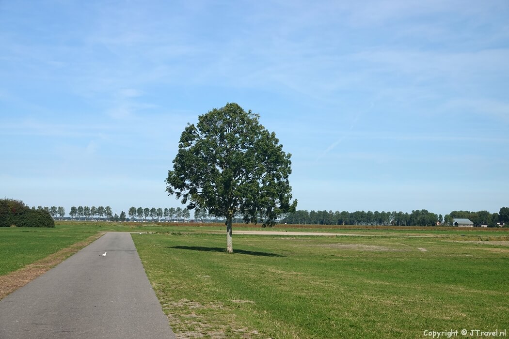 De Plesmanhoek tijdens de Plesmanwandelroute in Hoofddorp