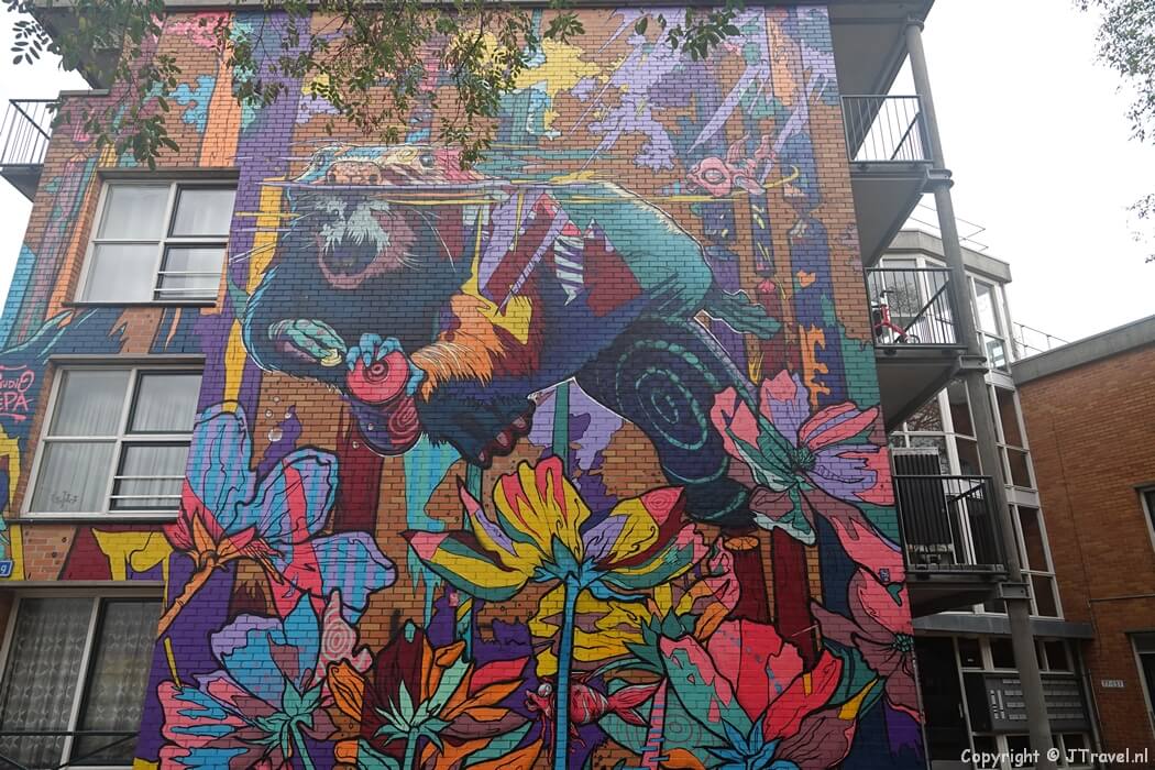 Street art van Studio Zepa tijdens mijn street art wandeling in de Rotterdamse wijk Beverwaard