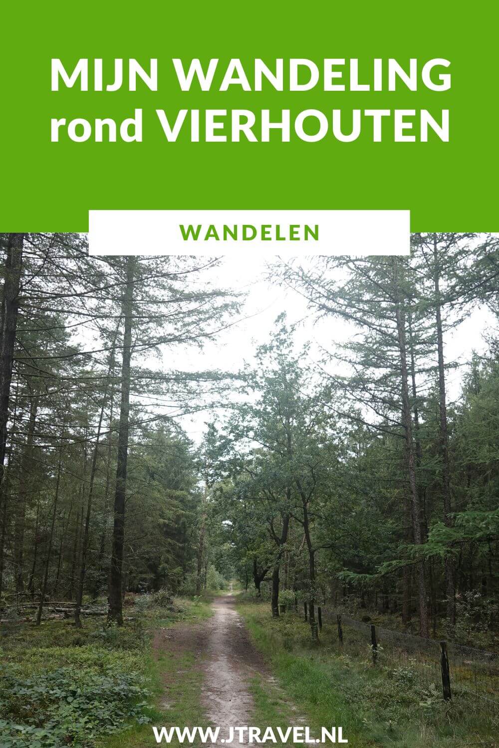 Ik maakte een wandeling rond Vierhouten vanuit het centrum van Vierhouten, door het Vierhouterbos naar Elspeet en via de Elspeetse Heide terug naar Vierhouten. Een mooie wandeling over de Veluwe door een oud bos en over uitgestrekte heidevelden. #wandelen #groenewissel #vierhouten #jtravelblog #jtravel