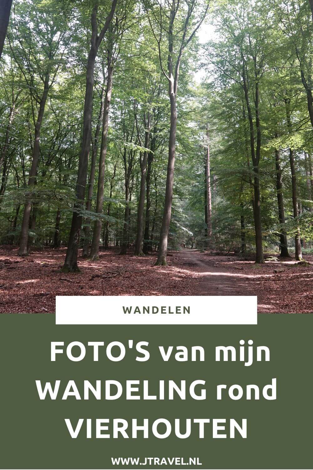 Ik maakte een wandeling rond Vierhouten vanuit het centrum van Vierhouten, door het Vierhouterbos naar Elspeet en via de Elspeetse Heide terug naar Vierhouten. Een mooie wandeling over de Veluwe door een oud bos en over uitgestrekte heidevelden. Mijn foto's zie je in dit artikel. #wandelen #groenewissel #vierhouten #jtravelblog #jtravel #fotos