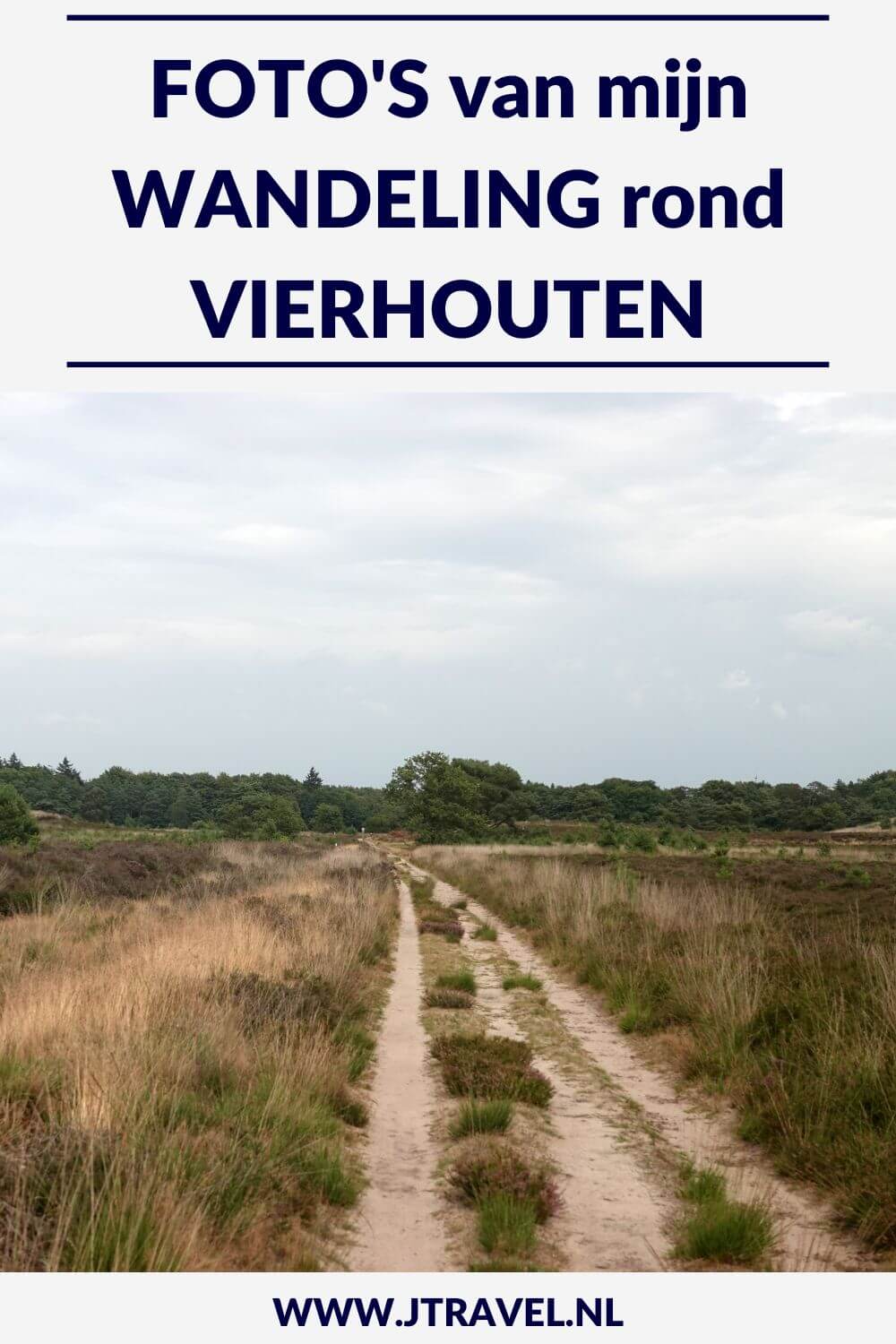 Ik maakte een wandeling rond Vierhouten vanuit het centrum van Vierhouten, door het Vierhouterbos naar Elspeet en via de Elspeetse Heide terug naar Vierhouten. Een mooie wandeling over de Veluwe door een oud bos en over uitgestrekte heidevelden. Mijn foto's zie je in dit artikel. #wandelen #groenewissel #vierhouten #jtravelblog #jtravel #fotos