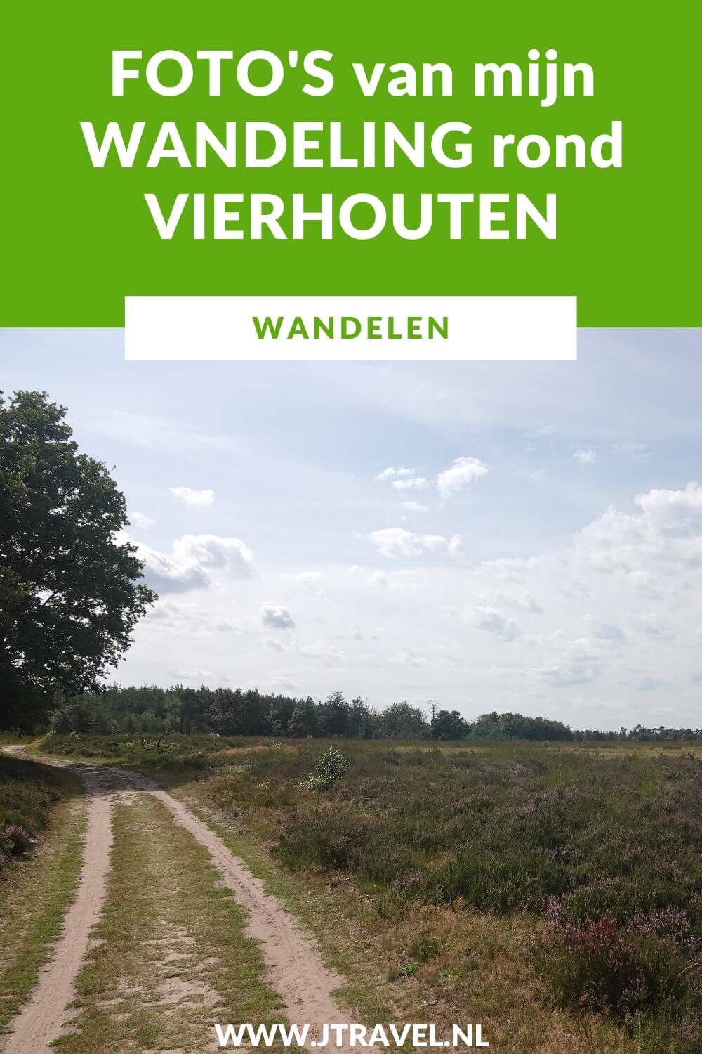 Ik maakte een wandeling rond Vierhouten vanuit het centrum van Vierhouten, door het Vierhouterbos naar Elspeet en via de Elspeetse Heide terug naar Vierhouten. Een mooie wandeling over de Veluwe door een oud bos en over uitgestrekte heidevelden. Mijn foto's zie je in dit artikel. #wandelen #groenewissel #vierhouten #jtravelblog #jtravel #fotos