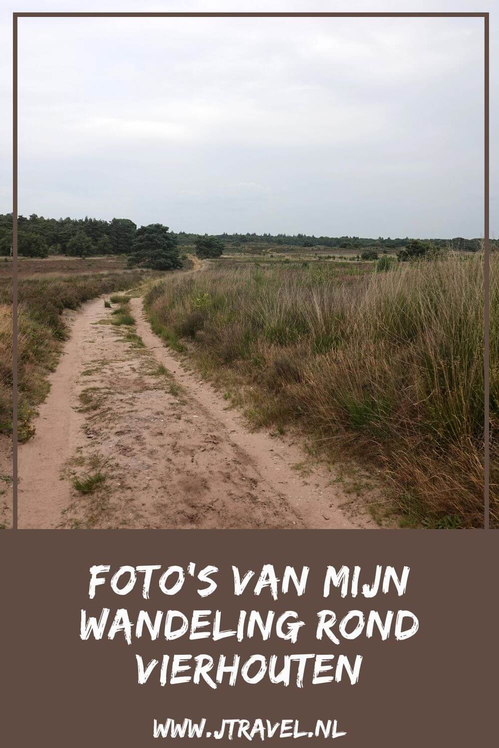 Ik maakte een wandeling rond Vierhouten vanuit het centrum van Vierhouten, door het Vierhouterbos naar Elspeet en via de Elspeetse Heide terug naar Vierhouten. Een mooie wandeling over de Veluwe door een oud bos en over uitgestrekte heidevelden. Mijn foto's zie je in dit artikel. #wandelen #groenewissel #vierhouten #jtravelblog #jtravel #fotos